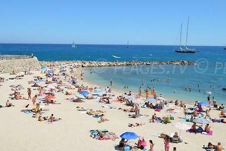 301-Studio Au Calme Entierement Renove Antibes Eksteriør bilde