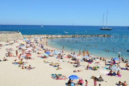 301-Studio Au Calme Entierement Renove Antibes Eksteriør bilde